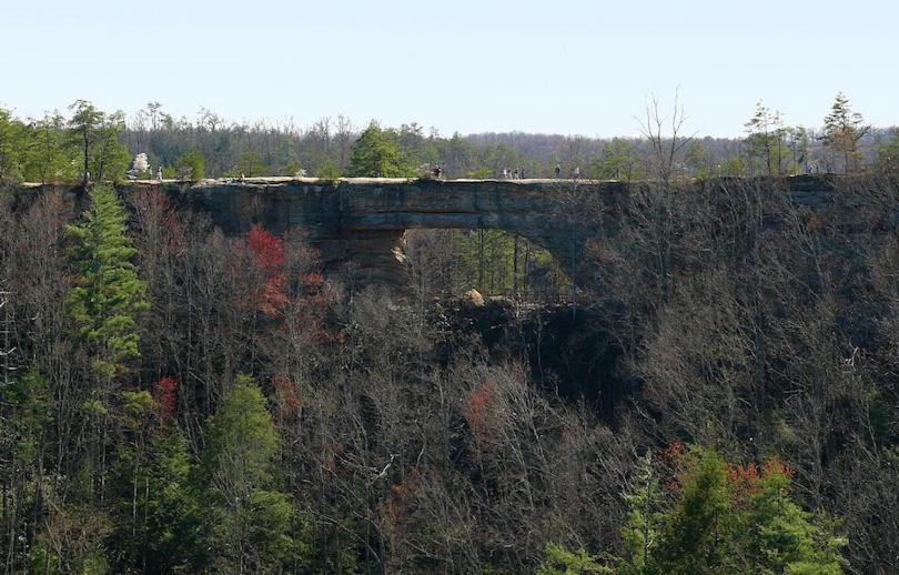 Big South Fork Trail Lodge Stearns Exteriör bild